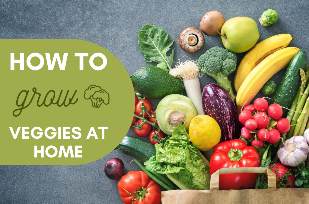 How to Grow Your Own Vegetables at Home!
